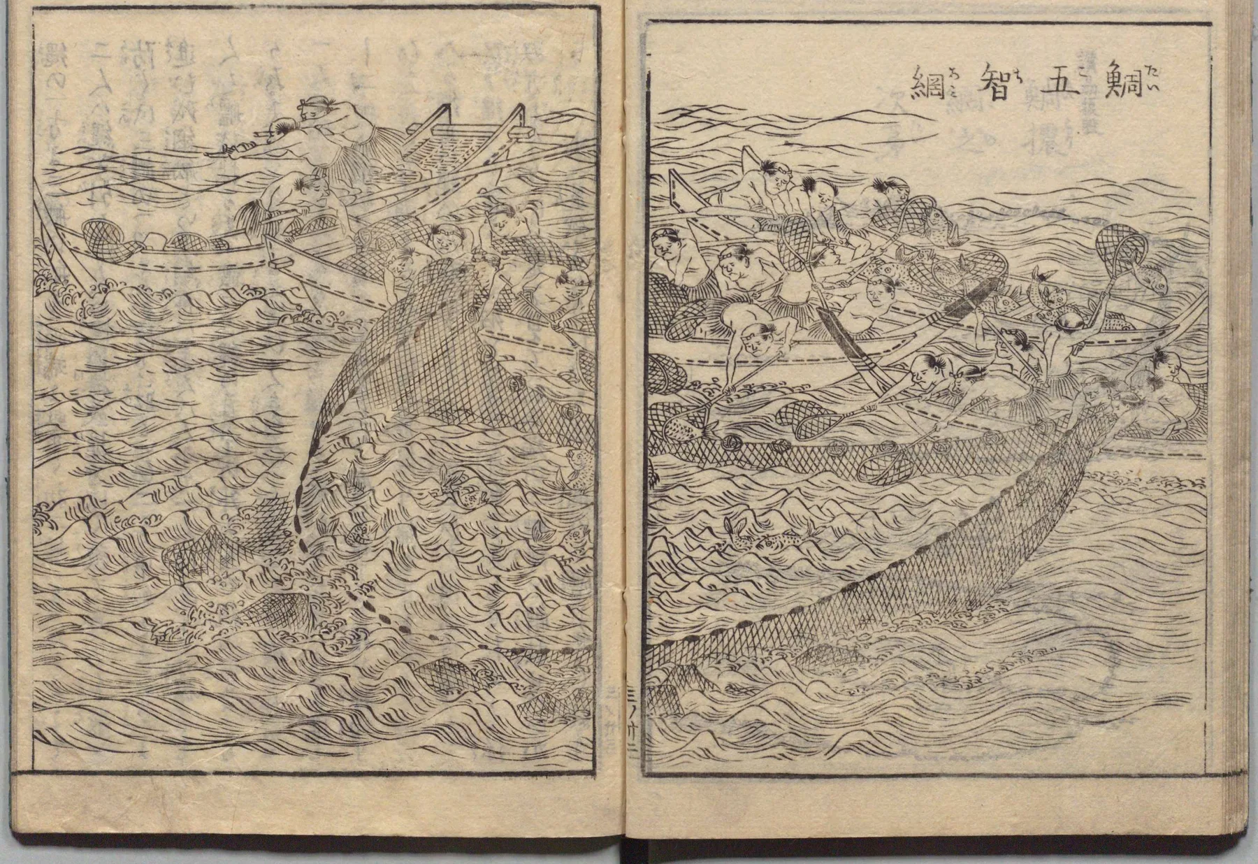 同島五智網・大型囲い網漁の図