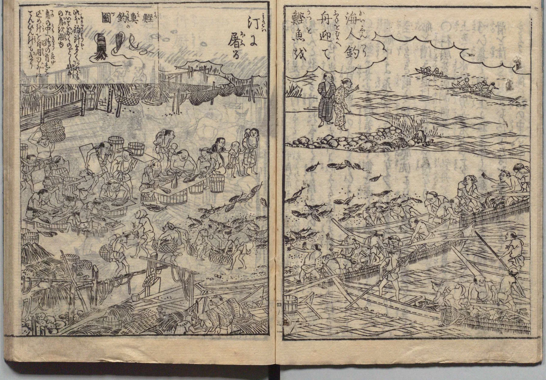 鰹の陸揚げと舟迎えの図