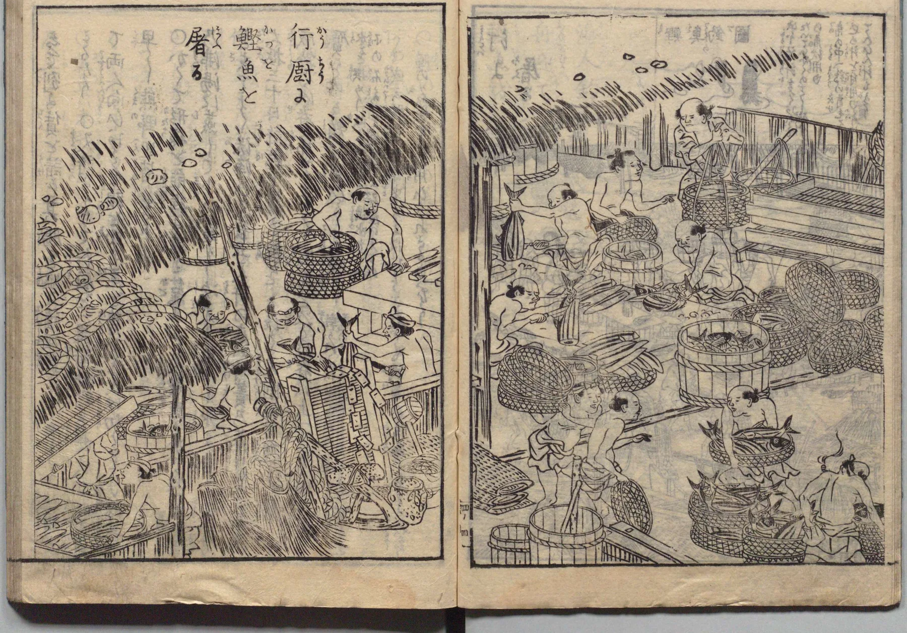 行廚・鰹魚の野外加工場の図