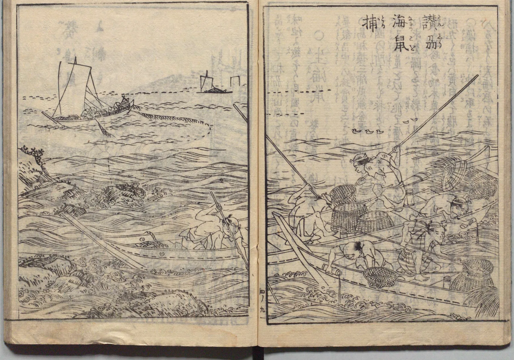 海鼠漁と沖取りの図