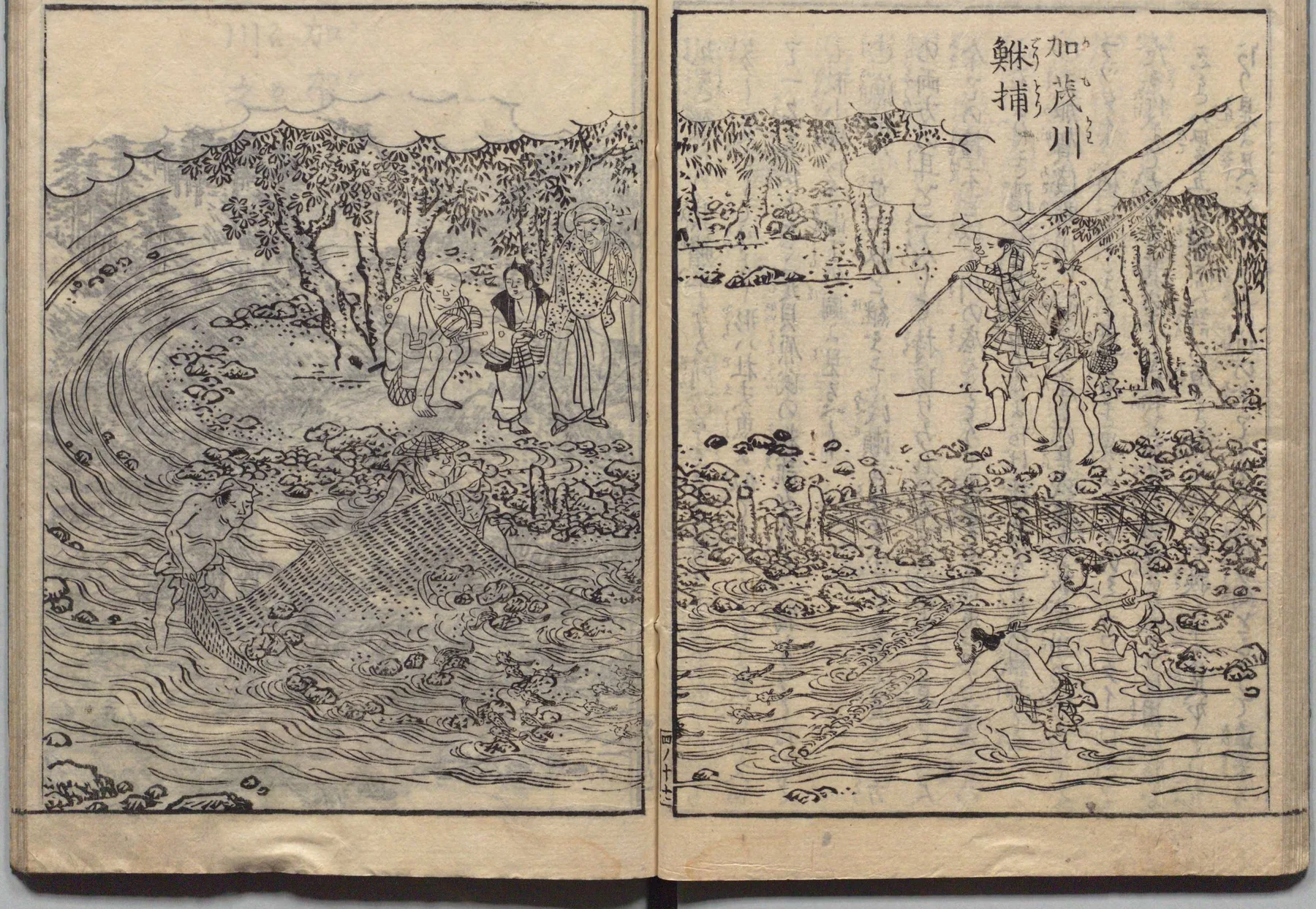加賀川での鮸捕（どじょう漁）の図