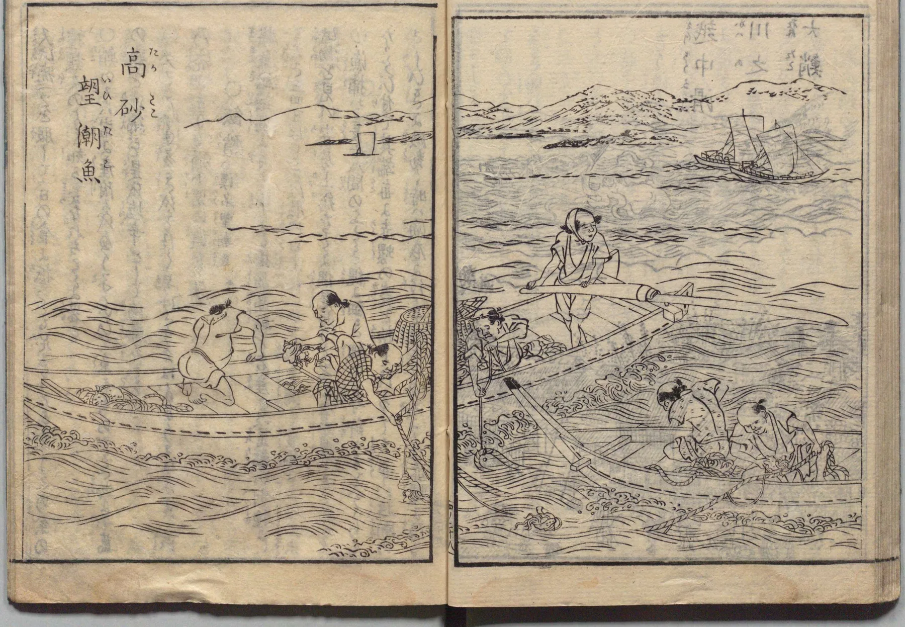 播州高砂・飯鮒と高砂の剿鯛魚の図