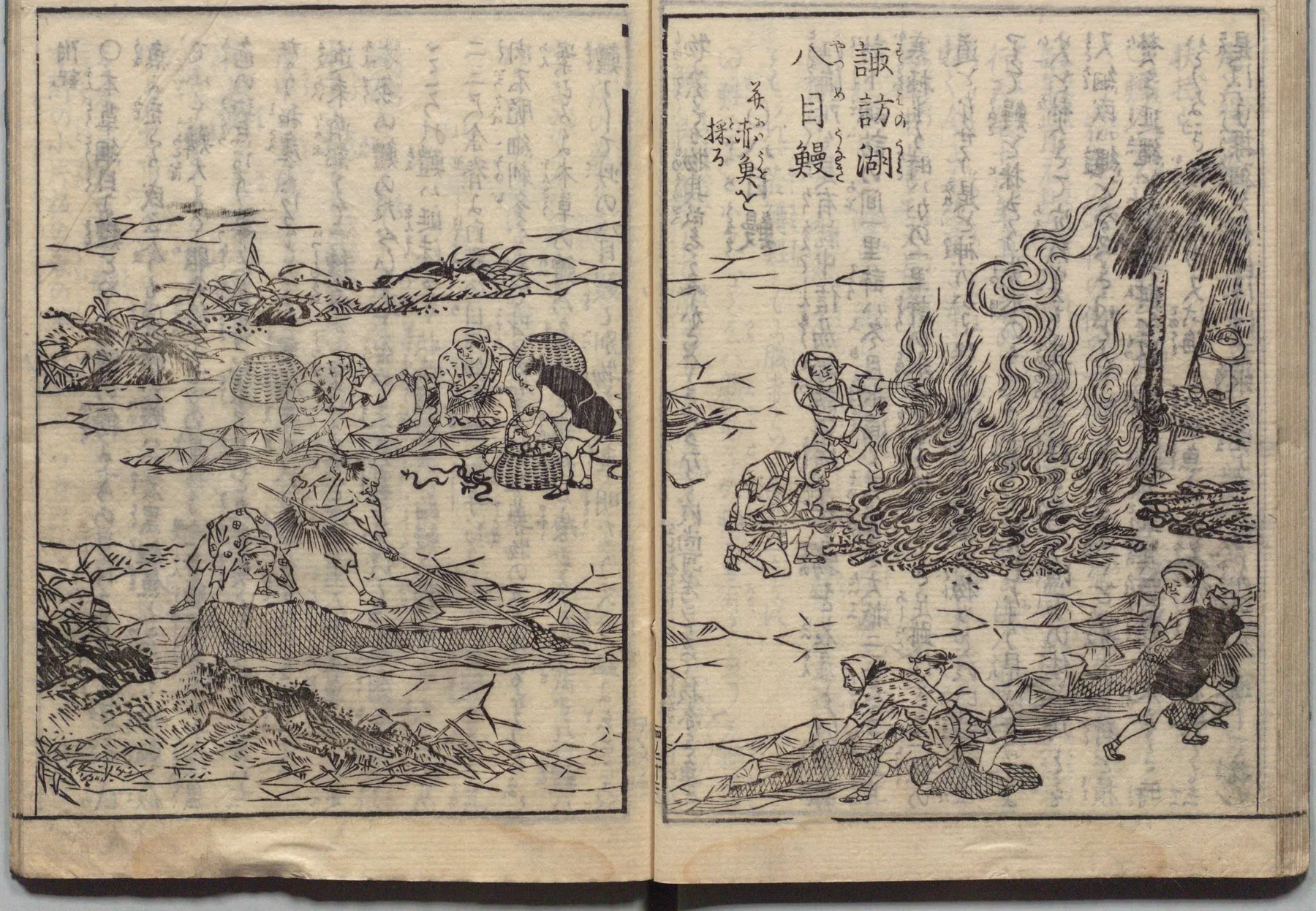 諏訪湖の八目鰻漁の図