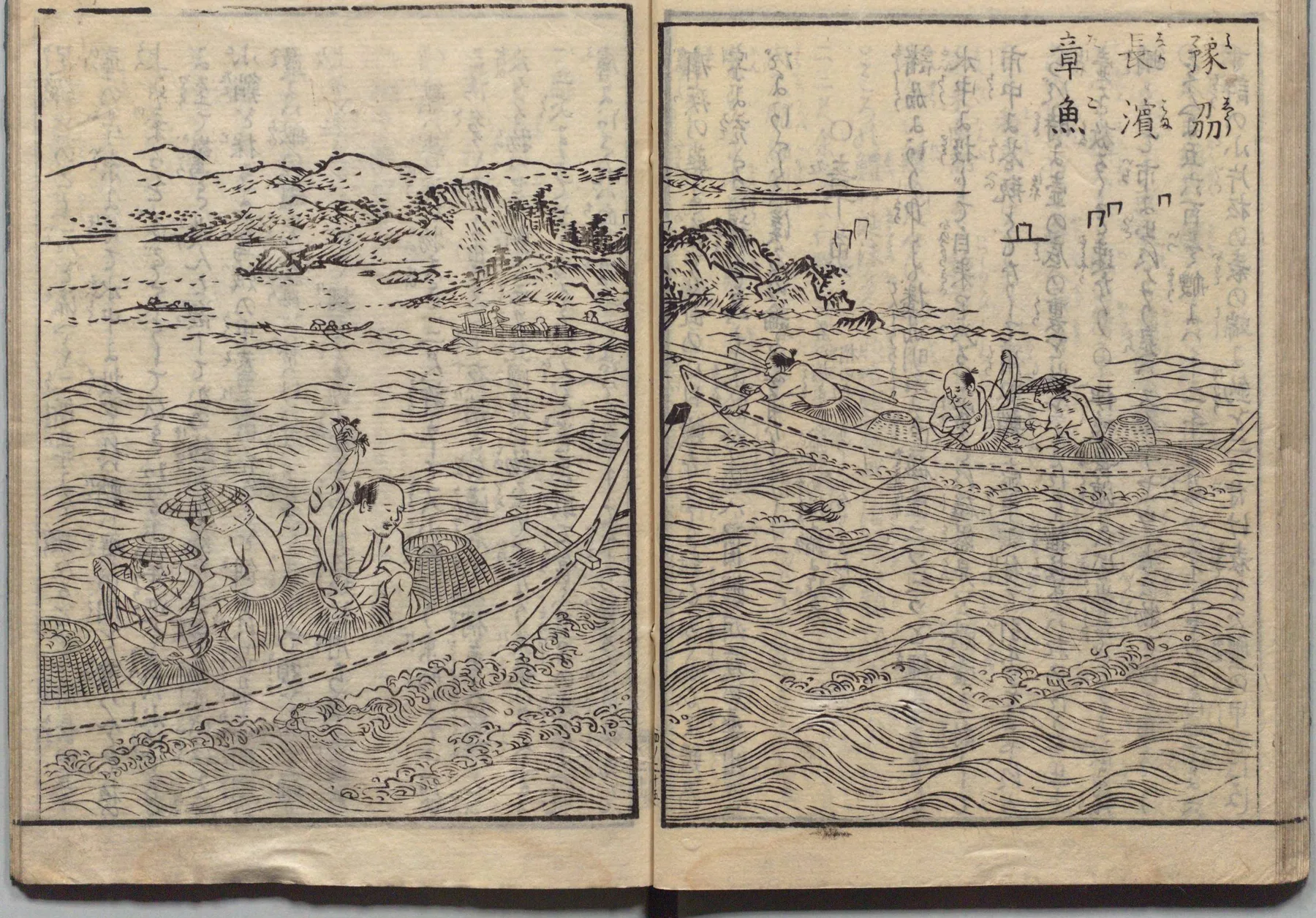 長滝の鱧魚（はも）漁の図