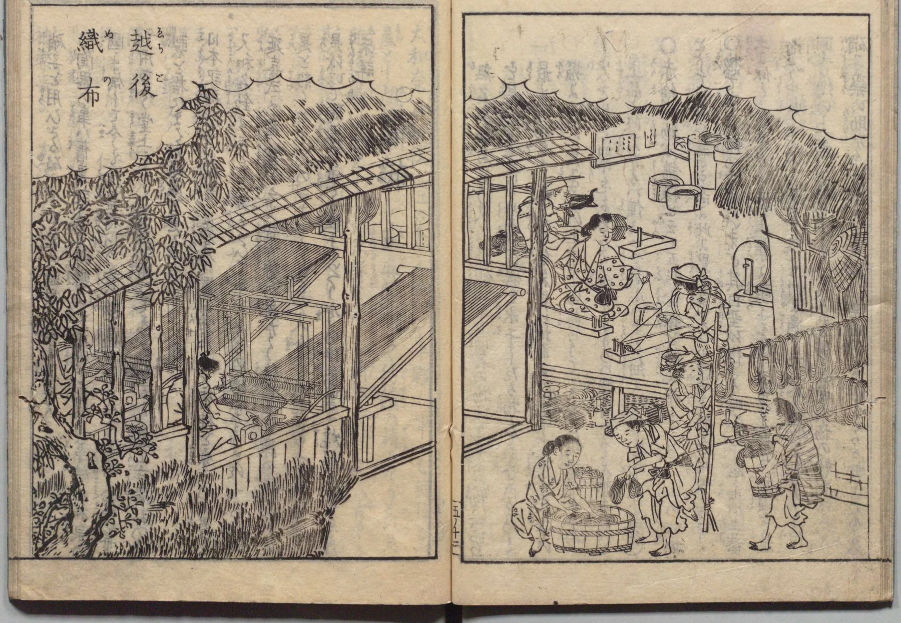 越後縮の雪晒しと織布の図