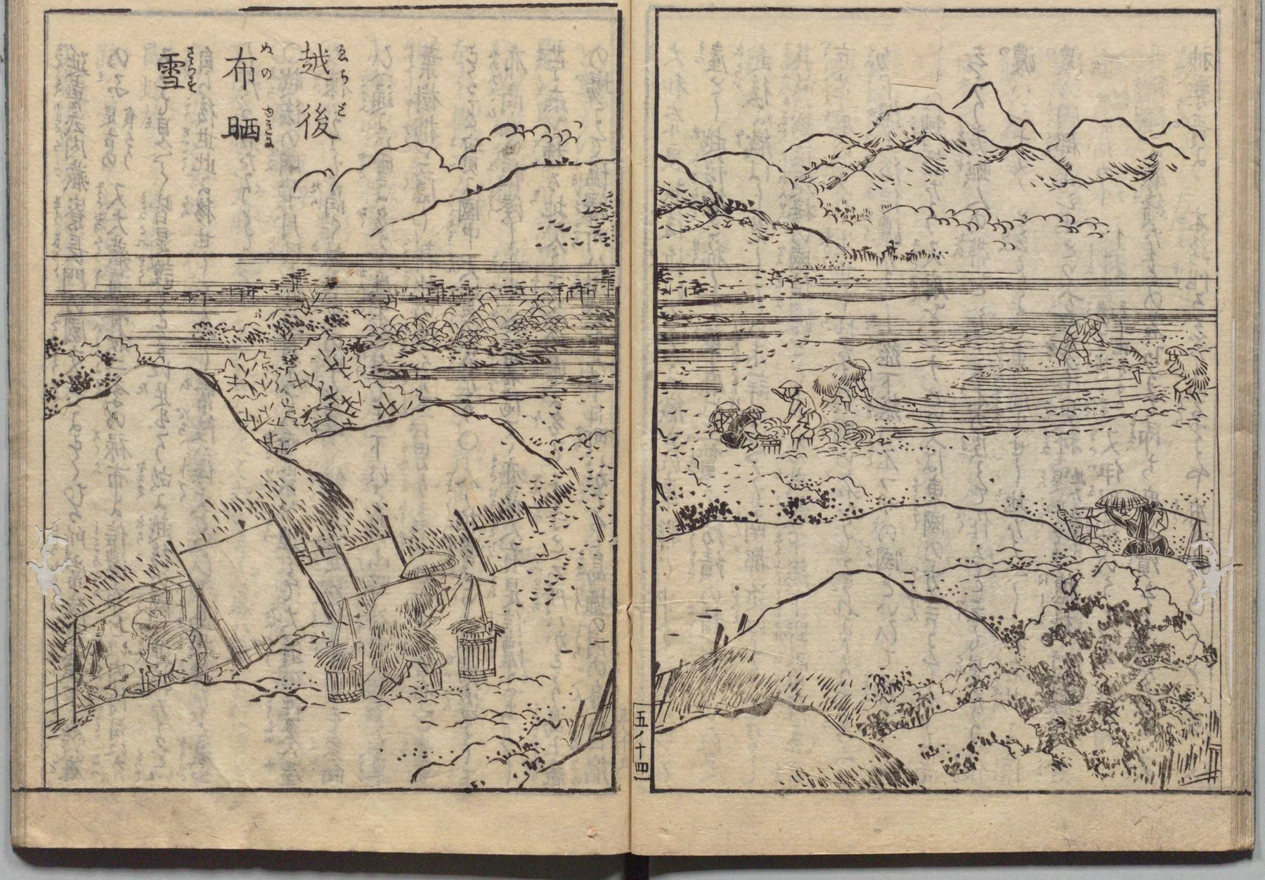 苧麻（からむし）栽培と苧績の図