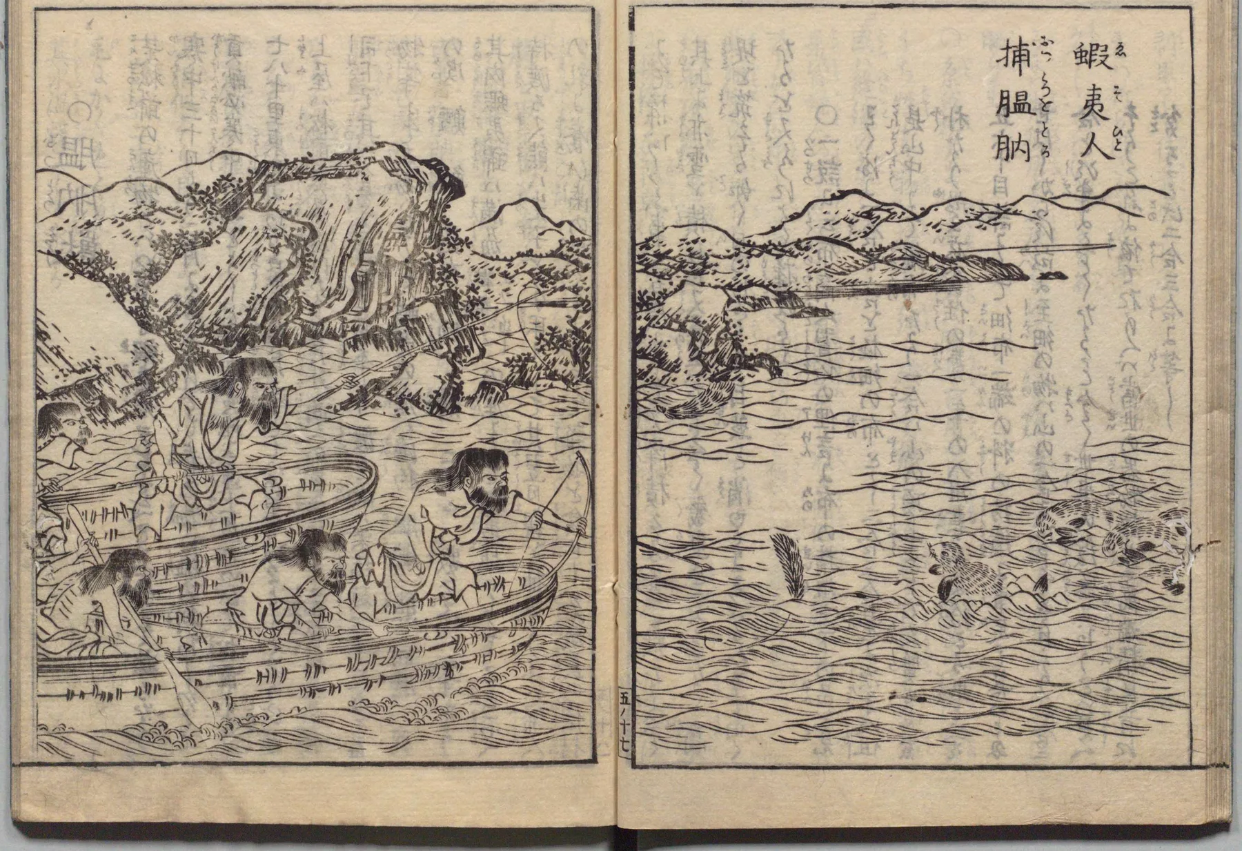 膃肭獣（オットセイ）の図