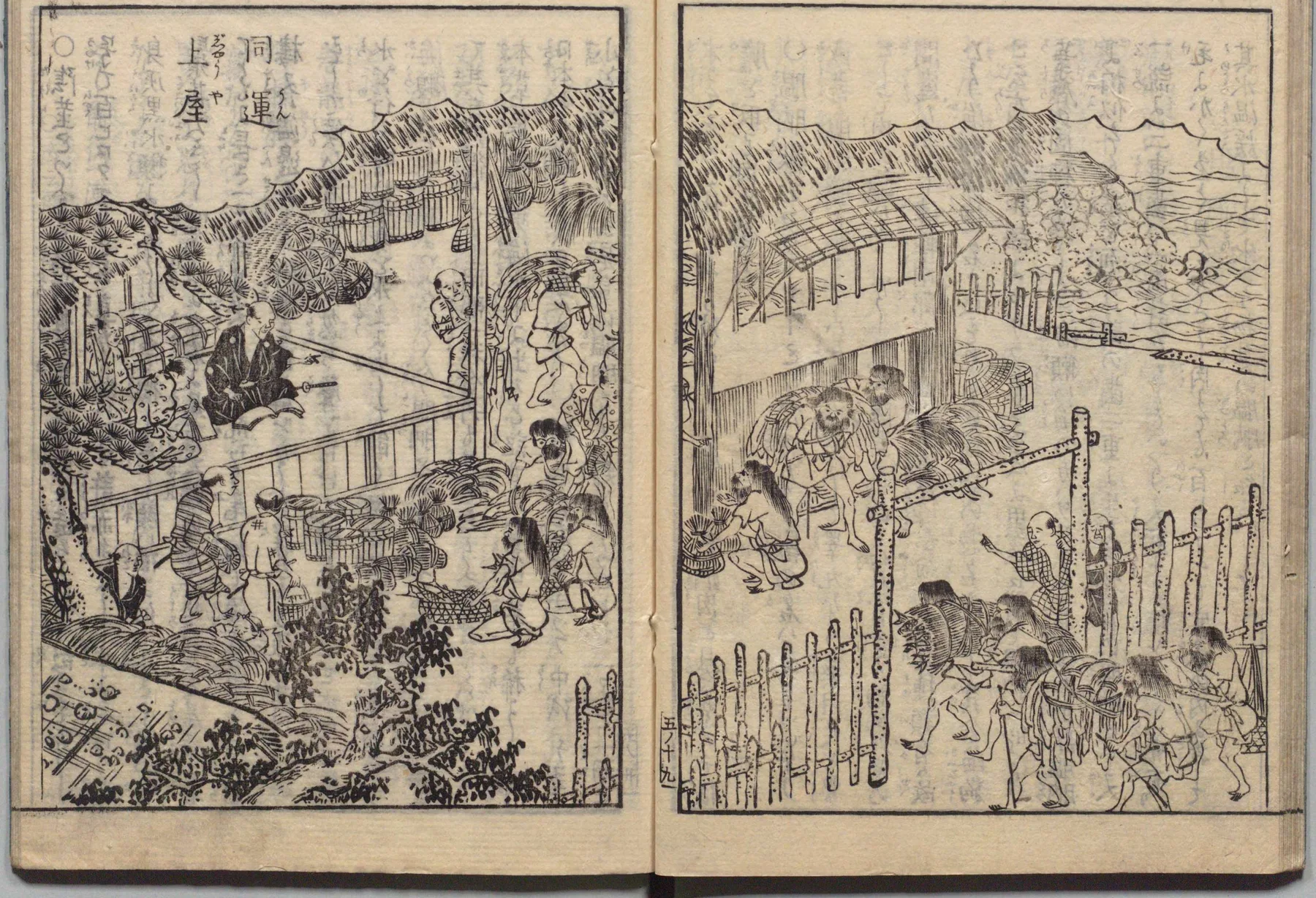 昆布採取と松前の図